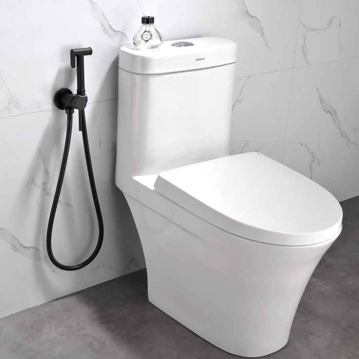 Modern Toilets